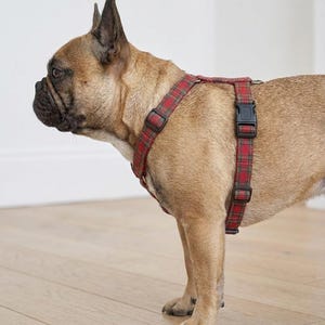 Patrón de costura para arnés ajustable para perro / Chaleco a cuadros para tallas XS-XL (patrón PDF)