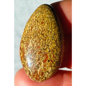 May include: A polished, teardrop-shaped stone with a textured surface. The stone features a pattern of tan, brown, and reddish-orange hues. The stone is held between two fingers.