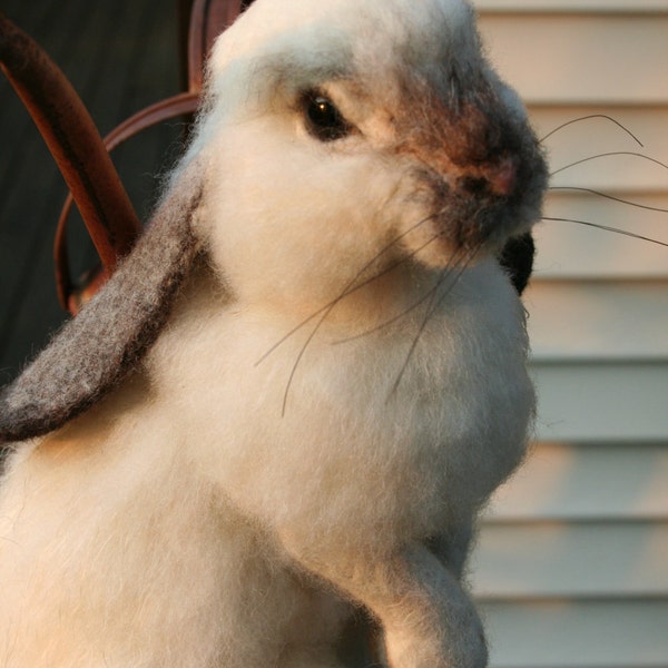 Needle felted Alpaca Life Size Lop Ear Bunny Rabbit Limited time PRE ORDER  Free shipping Taxidermy Style Realistic Rabbit