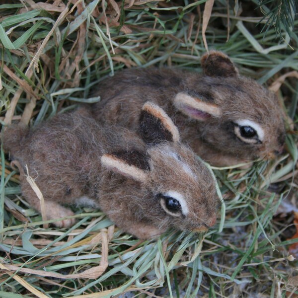 OOAK Needle felted Spring 2 week old Baby Cottontail  Bunny Rabbit