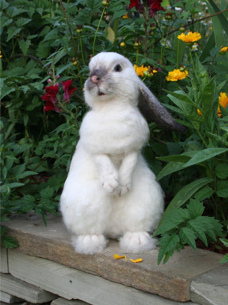 whatsize needle forrabbit
