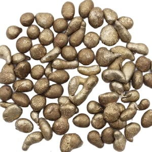 May include: A collection of numerous small, irregularly shaped metallic gold nuggets with a textured, matte finish. Each piece varies in size and form, ranging from rounded spheres to elongated, slightly curved shapes scattered across a white background.