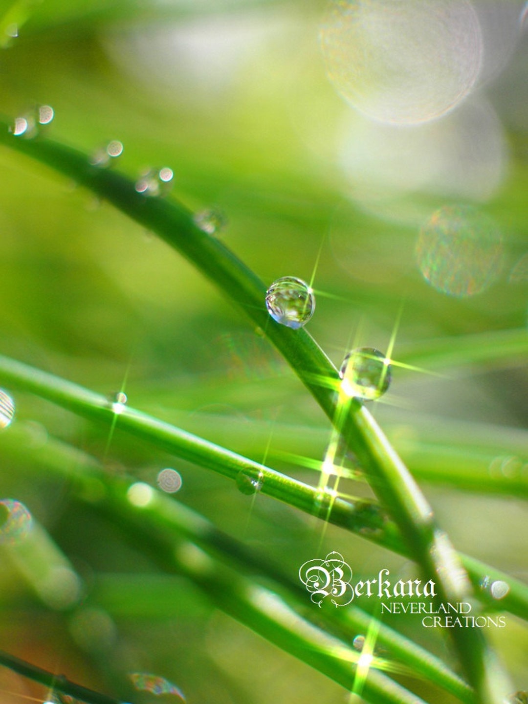 Find the Hidden Magic of Everyday Fine Art Original Dreamy Wonderland