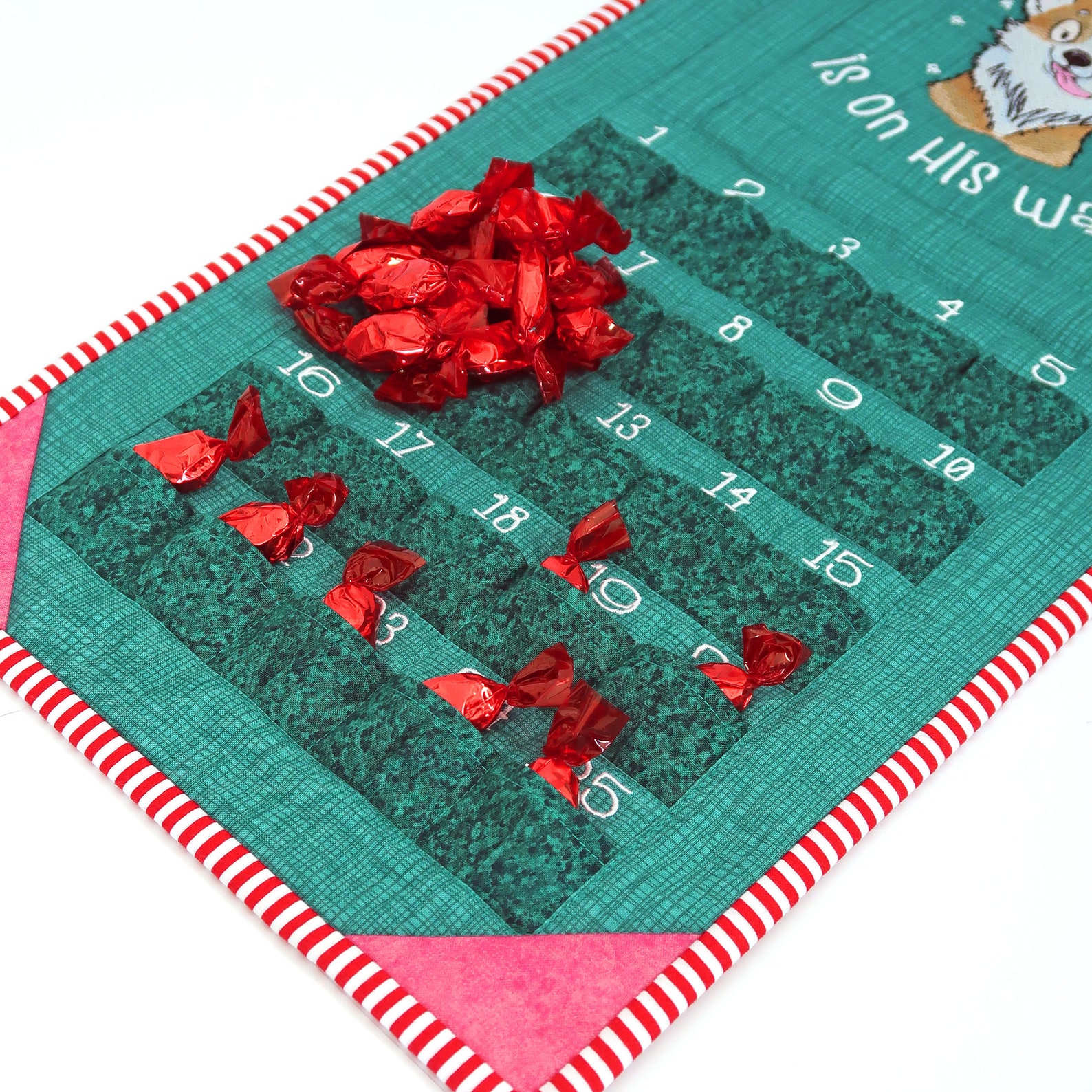 Dog Treat Advent Calendar / santa Paws is on His Etsy