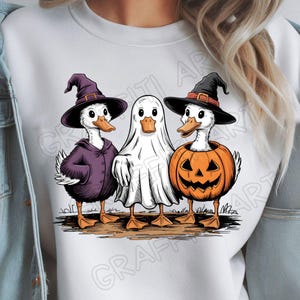 May include: White sweatshirt featuring three cartoon ducks dressed for Halloween. One duck wears a witch hat and purple cloak, another is a ghost, and the third is inside a carved pumpkin. The ducks stand on a patch of brown grass.