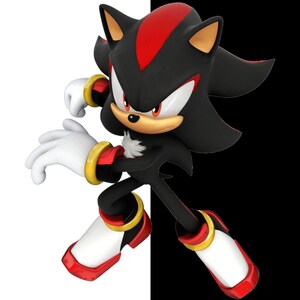 May include: A digital illustration of Shadow the Hedgehog, a black anthropomorphic hedgehog with red stripes and accents. He is posed in a dynamic stance against a black and white background, with white gloves and red-accented shoes.