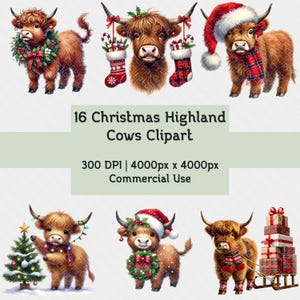 Christmas Highland Cows | Highland Cow | Clipart Bundle | Christmas Highland Cow | PNG Bundle | Highland Cow Clipart | Cute Christmas