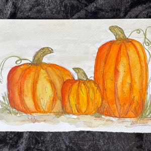 Watercolour & Ink Pumpkin Trio - Original Fall Harvest Artwork