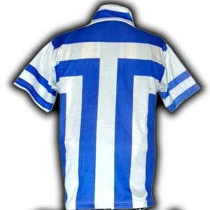 May include: A short-sleeved jersey with a blue and white striped design. The jersey features a blue collar and a large white "T" shape on the back. The sleeves have blue and white stripes.