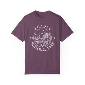 Acadia National Park Souvenir Tee with Night Sky with Free Shipping
