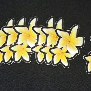 Sticker Plumeria