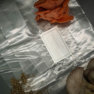 Pode incluir: Vista aérea de sacos plásticos transparentes, sementes e cogumelos. Os cogumelos são de várias cores, incluindo laranja e cinza. Uma etiqueta retangular branca com uma borda cinza também é visível.
