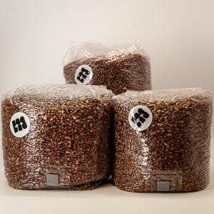 May include: Three clear plastic bags filled with brown grains. Each bag has a white circular sticker with a black logo. The bags are sealed and have a square plastic vent. The bags are stacked on top of each other.