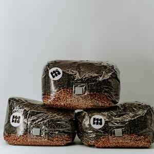 Könnte beinhalten: Drei gestapelte, rechteckige Pakete, verpackt in durchsichtigem Kunststoff. Die Pakete sind dunkelbraun mit einer gesprenkelten Textur und gefüllt mit hellbraunen Körnern. Jedes Paket hat einen weißen runden Aufkleber mit einem schwarzen Logo.