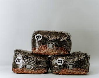 Kit completo per la coltivazione di funghi, 3x3 litri, sterile, con substrato di grano e CVG e porta di inoculazione, set da 3 pezzi per la coltivazione di funghi di Master Mushrooms.