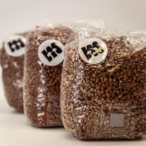 Sterile Wheat Grain Spawn 3×1 L – 3 Grow Bags with Injection Port & 0.2µm Microfilter – Grain Spawn for Growing Your Own Mushrooms