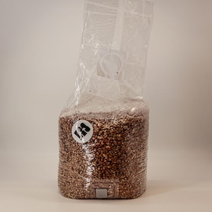 May include: A clear plastic bag filled with brown grains. The bag has a white circular sticker with a black graphic. The bag has a filter patch and a rectangular port at the bottom. The bag is designed for mushroom cultivation.