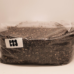 Può includere: Una tazza di ceramica bianca con manico nero e la scritta "But First, Coffee" in grassetto nero. La tazza è posta su uno sfondo sfocato, che suggerisce un'atmosfera accogliente.