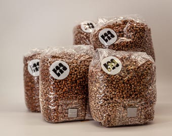 Organiskt vete-svampsubstrat 5 x 1 kg sterilt – Spannmålspåsar med inokuleringsport och mikrofilter – Spannmålssvampodling – Master Mushrooms