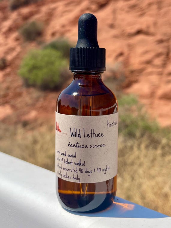 WILD LETTUCE lactuca virosa Tincture - extract  supplement