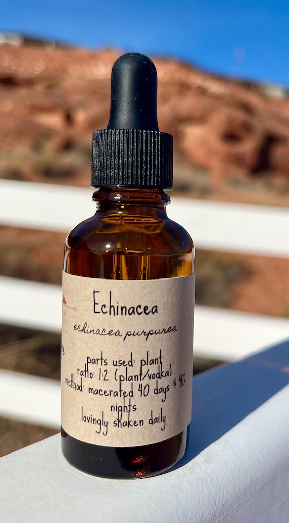 ECHINACEA Tincture - extract echinacea purpurea supplement