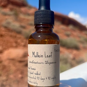 MULLEIN LEAF Tincture - extract of verbascum thapsus supplement