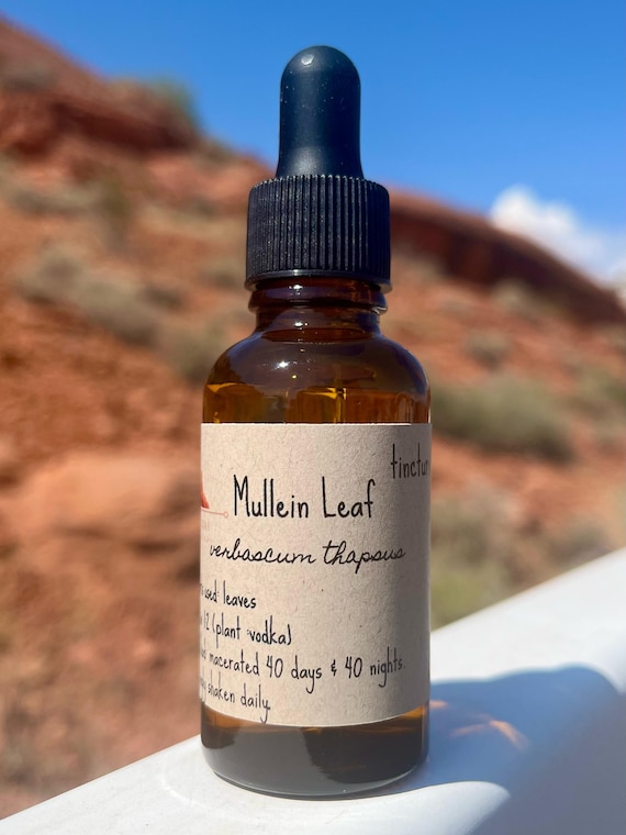 MULLEIN LEAF Tincture - extract of verbascum thapsus supplement