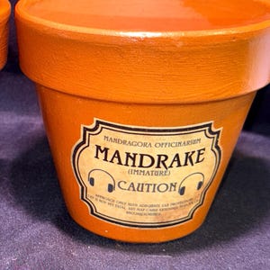 May include: Two terracotta-colored plant pots with a smooth finish. Each pot features a rectangular label with black text that reads Mandragora Officinarum, Mandrake (Immature), and Caution, accompanied by two small headphone icons on the sides.