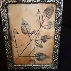 May include: A rectangular silver-colored picture frame with a leaf print on a beige background. The frame has a detailed grape and leaf design around the edges. The leaf print is black and white.
