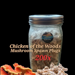 May include: A set of three ceramic mugs with a speckled, matte finish. The mugs are in shades of cream, light gray, and dark gray. Each mug has a simple, minimalist design and a rounded handle.