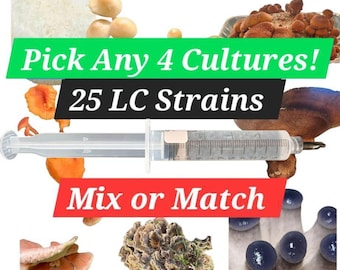 Mushroom Liquid Culture Mycelium Syringes - 4 Pack, 25 STRAINS to choose from