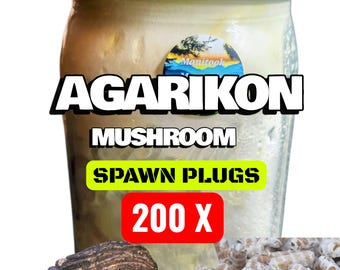 AGARIKON Hongo (Fomitopsis officinalis) Tapones de micelio 200 unidades