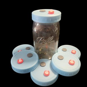 Mushroom Liquid Culture Mycelium JAR LIDS, Set of 6, Wide Mouth or Regular size
