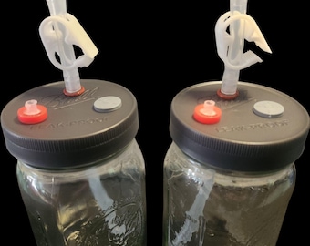Tapas para cultivo líquido de hongos: Extracción de micelio, Luer Lock - Boca ancha o regular