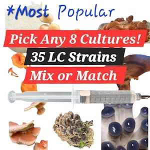 Mushroom Liquid Culture Mycelium Syringes,  10 ml, Any 8 Mix or Match