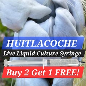 May include: An image of a corn cob covered in a light blue substance, with the text "HUITLACOCHE Live Liquid Culture Syringe" and "Buy 2 Get 1 FREE!" in blue and red banners, respectively. A clear syringe is visible.