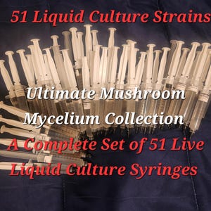 51 Culinary Mushroom Liquid Culture Mycelium Collection, 10 ml syringes each