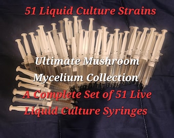 51 Culinary Mushroom Liquid Culture Mycelium Collection, 10 ml syringes