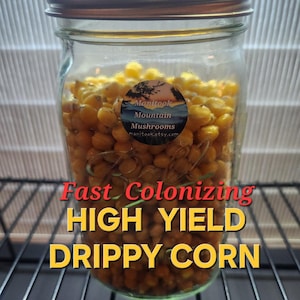 May include: A clear glass jar filled with yellow corn kernels, labeled "Fast Colonizing High Yield Drippy Corn." The jar has a metal lid and a sticker with a mountain scene and the text "Manitook Mountain Mushrooms."