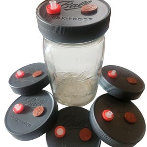 Mushroom Liquid Culture Lids: Ball Jar, PTFE Filter, Self-Healing Port
