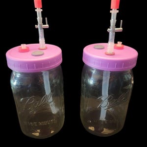 May include: Two clear glass Ball wide-mouth jars with purple lids and attached apparatuses. Each jar has a clear tube and a red and clear plastic piece attached to the lid. The jars are on a black background.