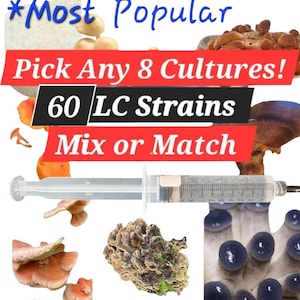 Mushroom Liquid Culture Mycelium Syringes (10ml) Any 8 Mix or Match