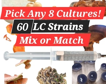 Mushroom Liquid Culture Mycelium Syringes (10ml) Any 8 Mix or Match