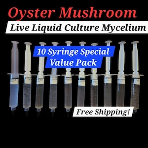 10 OYSTER MUSHROOM Liquid Culture Mycelium Syringe Value Pack