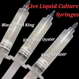 Black Pearl King Oyster Mushroom Liquid Culture Syringe - 10ml