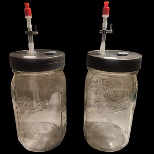 Mushroom Liquid Culture Lids: Mycelium, Luer Lock Valve (Fits Wide/Regular Jars)