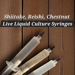 May include: Three clear plastic syringes filled with liquid culture, labeled Shiitake, Reishi, and Chestnut. The text on the image reads: Shiitake, Reishi, Chestnut Live Liquid Culture Syringes. Each syringe has a black tip and a white plunger.