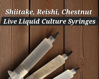 Cultivo líquido de shiitake, reishi y hongo castaño