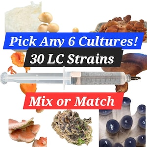 Mushroom Liquid Culture Mycelium Syringes - 6 Pack, 30 STRAINS to choose from!