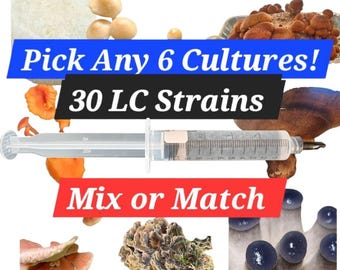 Mushroom Liquid Culture Mycelium Syringes - 6 Pack, 30 STRAINS to choose from!